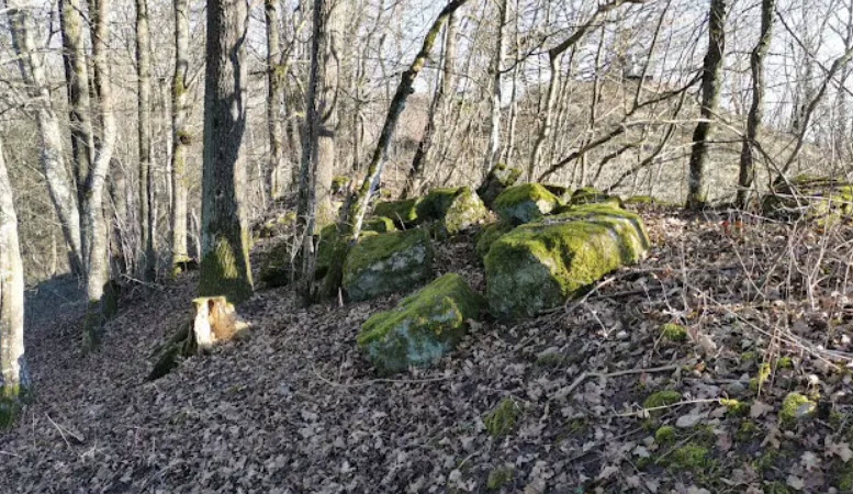 Burgstall Buchhorn, Michelbach an der Bilz, Germany, Germany
